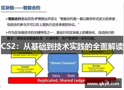 CS2：从基础到技术实践的全面解读